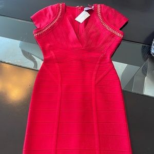 Herve Leger Dress